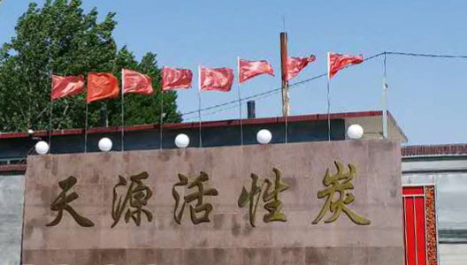 山东临朐天源活性炭有限公司网站改版成功